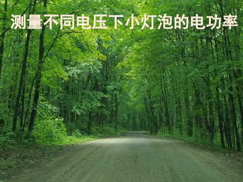 人教物理九年级全册第十八章3测量小灯泡的电功率 (共23张PPT)