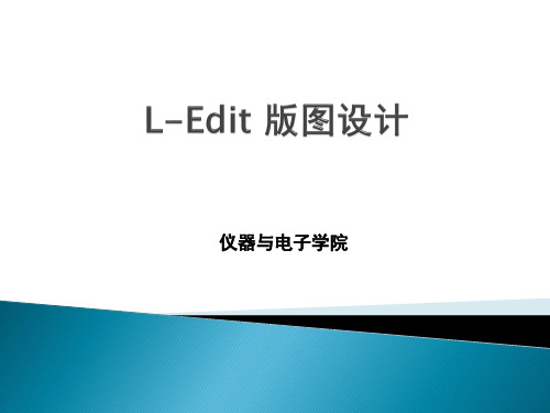 介绍Ledit实验课件