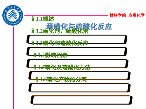 第一章磺化及硫酸化反应