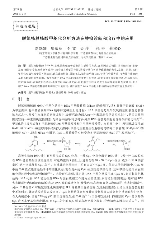 脱氧核糖核酸甲基化分析方法在肿瘤诊断和治疗中的应用