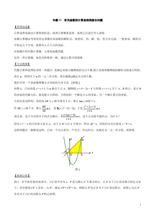 专题12 有关函数的计算说理类综合问题 -突破中考数学压轴题学霸秘笈大揭秘(学生版)