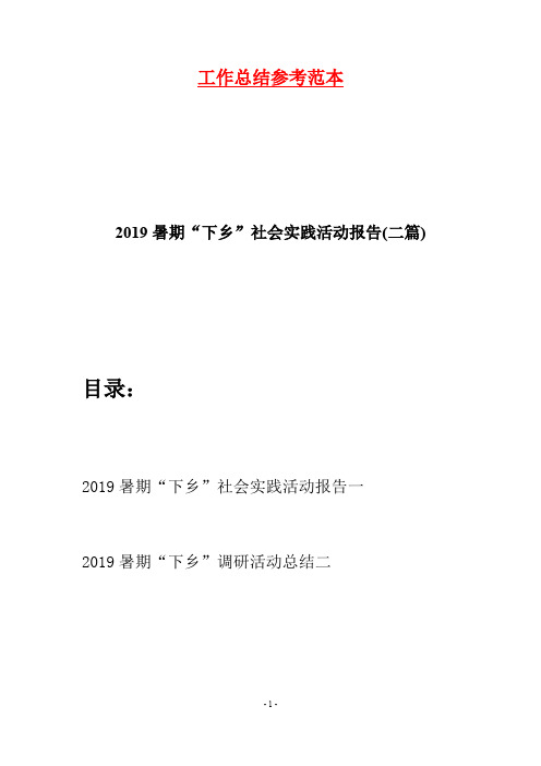 2019暑期“下乡”社会实践活动报告(二篇)