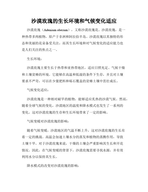 沙漠玫瑰的生长环境和气候变化适应