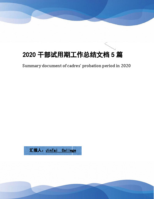 2020干部试用期工作总结文档5篇