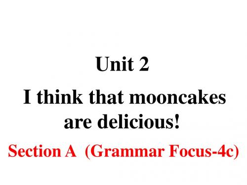 人教版九年级全一册英语unit2 section a grammar focus-4c(46张ppt)