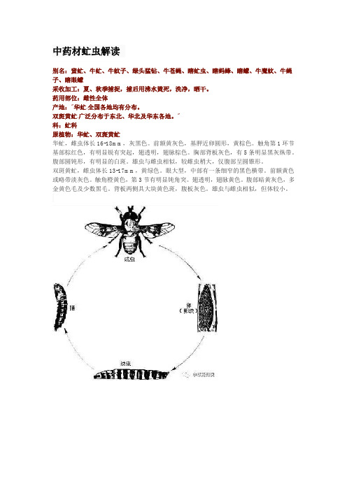 中药材虻虫解读