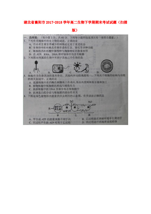 湖北省襄阳市2017-2018学年高二生物下学期期末考试试题(扫描版)