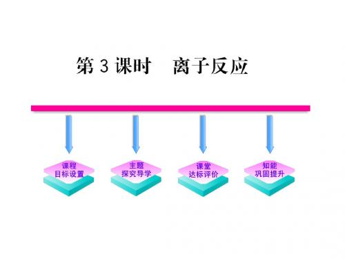 10-11高中化学课时讲练通课件:2.2.3离子反应(苏教版必修1)