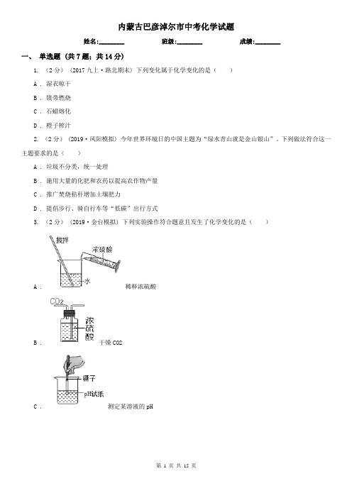 内蒙古巴彦淖尔市中考化学试题