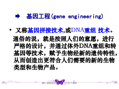 DNA重组技术的基本工具优秀课件