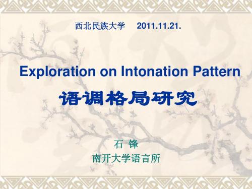 西北民族大学2011.11.21.ExplorationonIntonationPattern