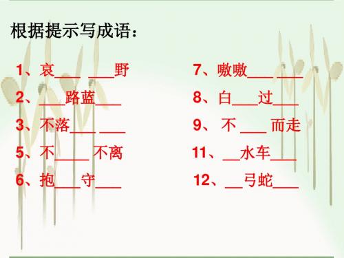 广告中的语文——“广告集锦”ppt