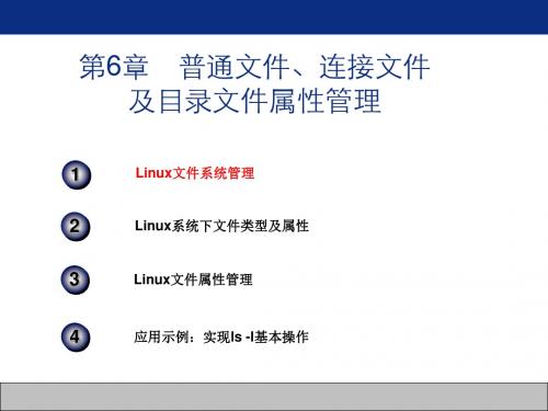 06第06章普通文件、连接文件及目录文件属性管理课件