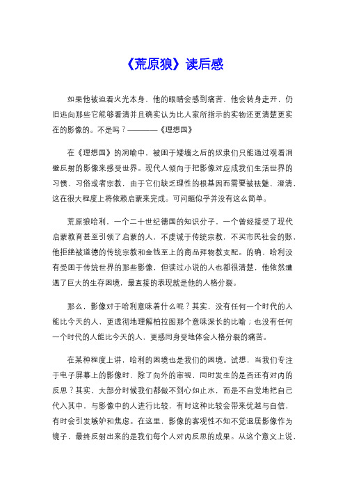 《荒原狼》读后感