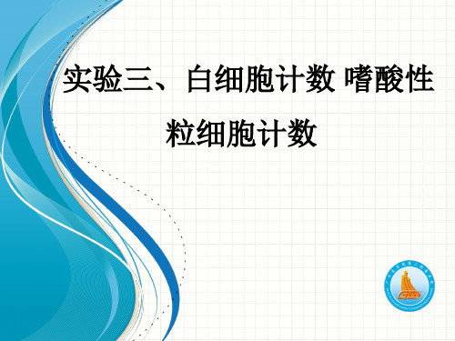 临床基础检验学：实验三 白细胞计数 嗜酸性粒细胞计数