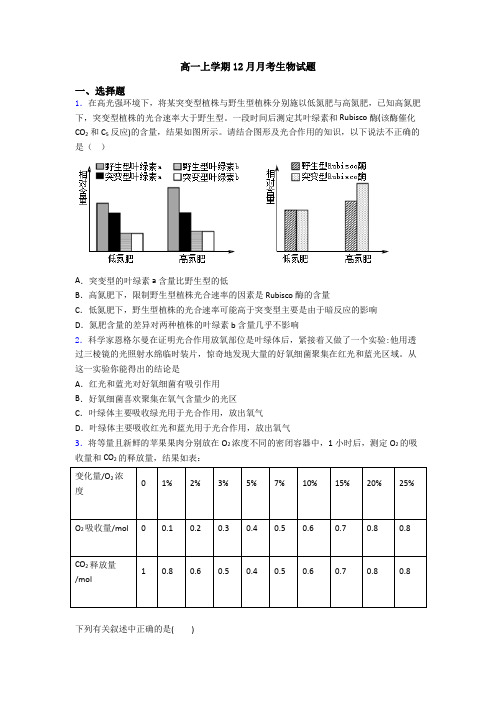 高一上学期12月月考生物试题