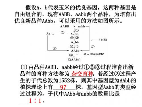 《现代生物进化理论的由来》课件