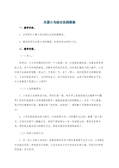 关爱小鸟综合实践教案