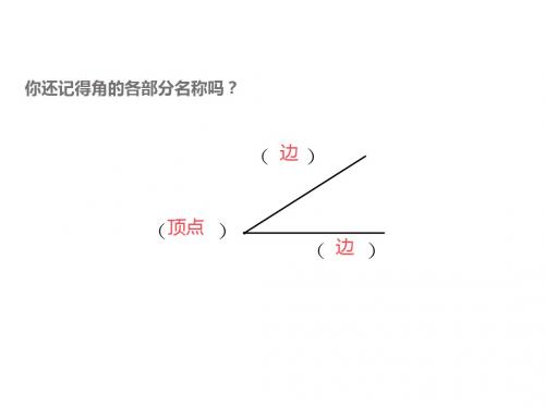 二年级 第四单元 认识直角、锐角、钝角