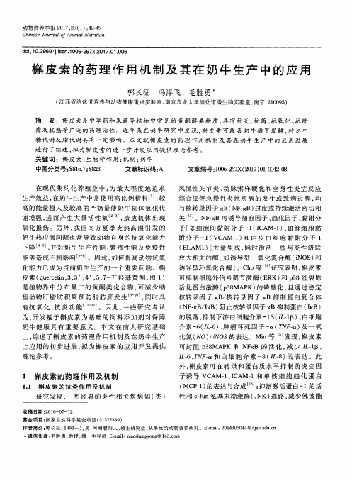 槲皮素的药理作用机制及其在奶牛生产中的应用