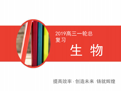 2019高三一轮总复习生物课件:第1单元 第四讲 核酸 糖类和脂质