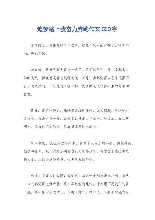 追梦路上我奋力奔跑作文650字