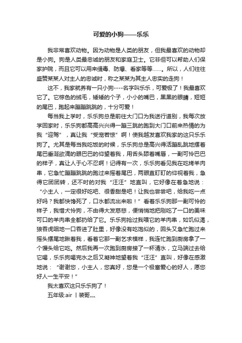 可爱的小狗——乐乐