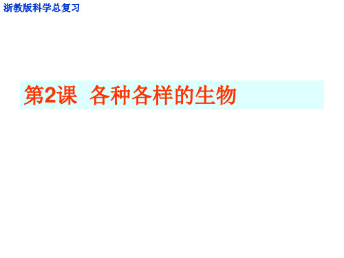 中考总复习课件各种各样的生物