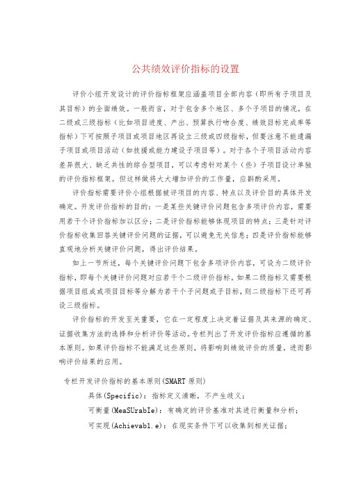 公共绩效评价指标的设置