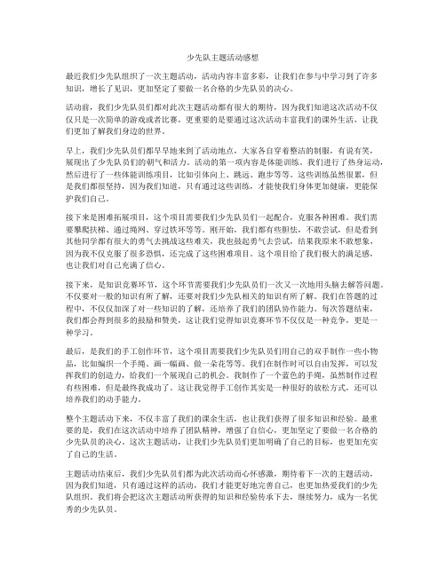 少先队主题活动感想