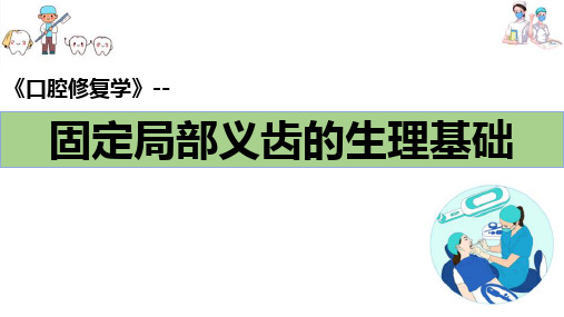 牙列缺损的固定局部义齿修复—固定局部义齿的生理基础(口腔修复学课件)