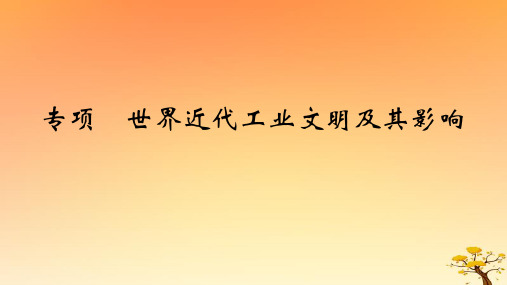 高考历史一轮专题十工业革命与马克思主义的诞生及世界殖民体系的形成专项世界近代工业文明及其影响