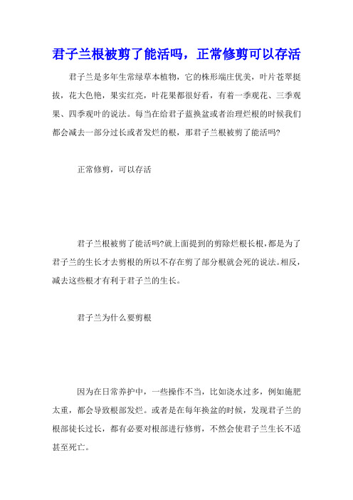 君子兰根被剪了能活吗,正常修剪可以存活