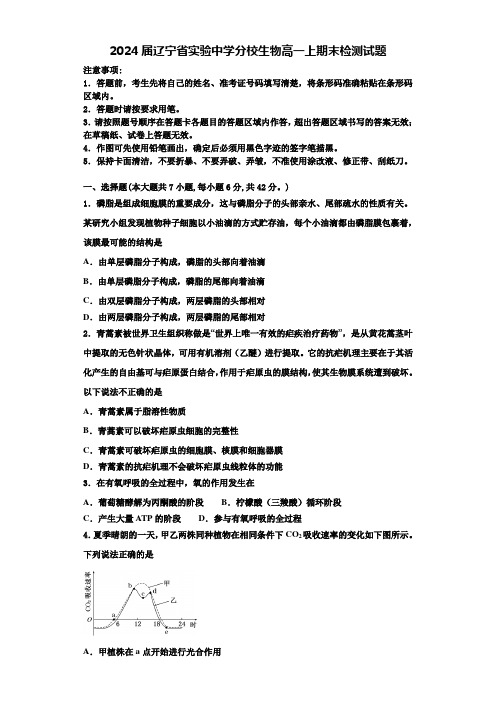 2024届辽宁省实验中学分校生物高一上期末检测试题含解析