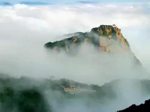 多彩的风景_张翠莲