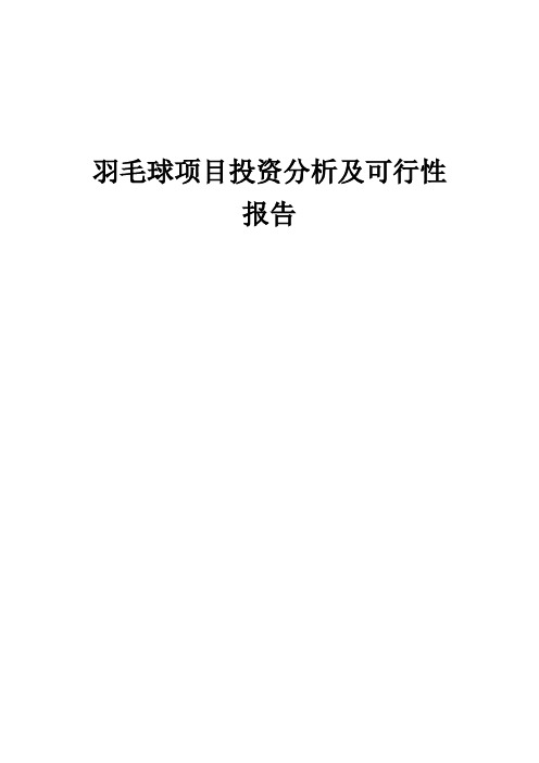 2024年羽毛球项目投资分析及可行性报告