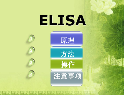 ELISA原理、方法、操作及注意事项