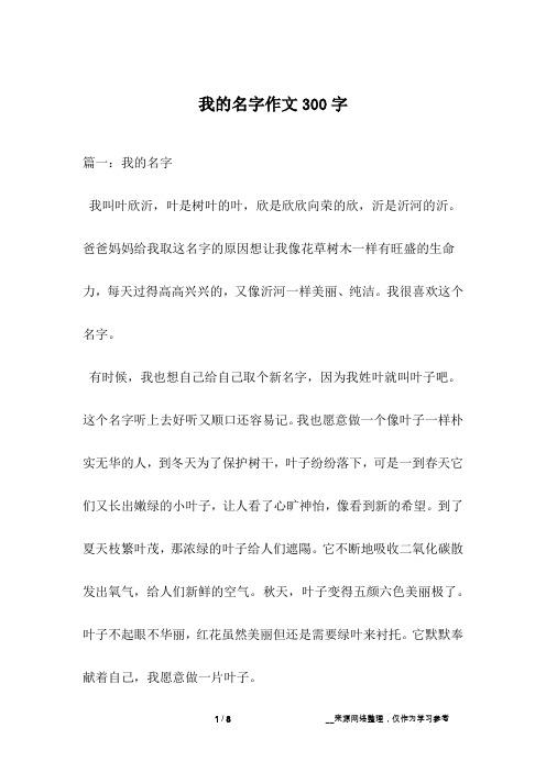 我的名字作文300字