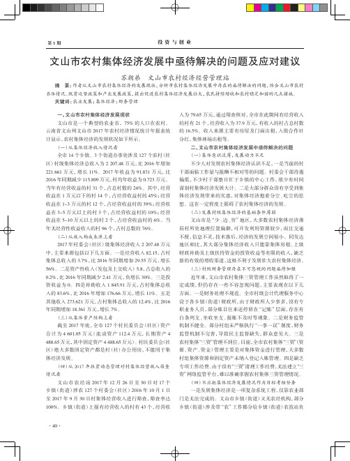 文山市农村集体经济发展中亟待解决的问题及应对建议