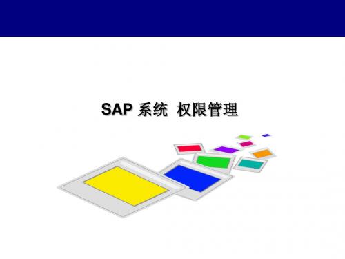 SAP ERP权限管理