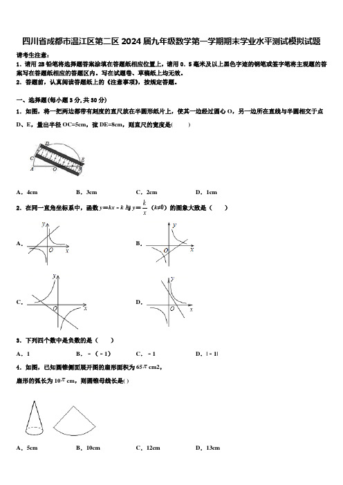 四川省成都市温江区第二区2024届九年级数学第一学期期末学业水平测试模拟试题含解析