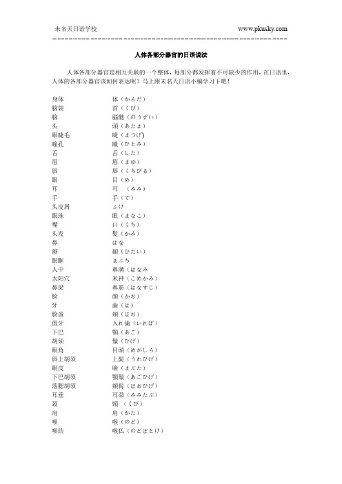 人体各部分器官的日语说法