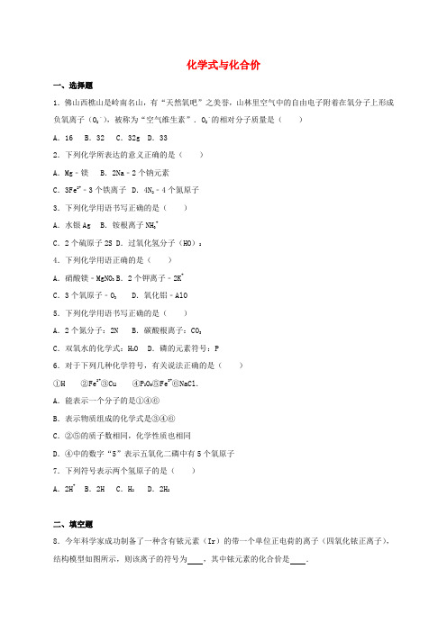 2017年中考化学专题练习 化学式与化合价2(含解析)