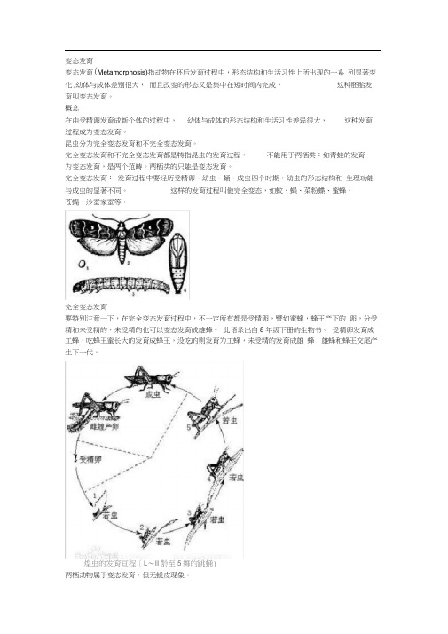 变态发育