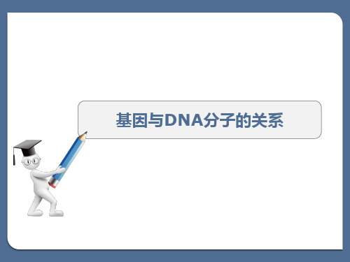 生物 基因与DNA分子的关系