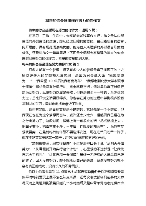 将来的你会感谢现在努力的你作文