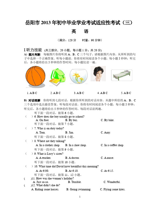 2013年中考英语样卷