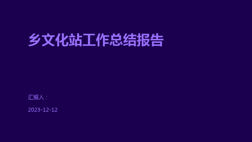 乡文化站工作总结报告