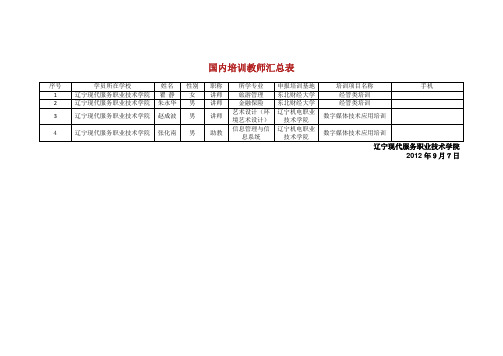 国内培训教师汇总表.doc