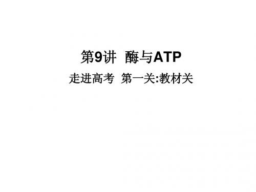 第9讲 酶与ATP